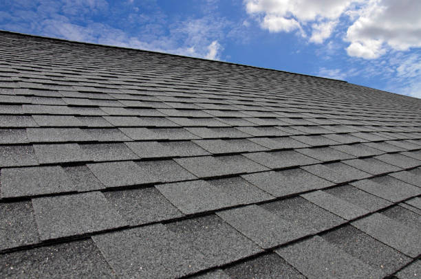 Best Roof Leak Repair  in Prairie View, TX